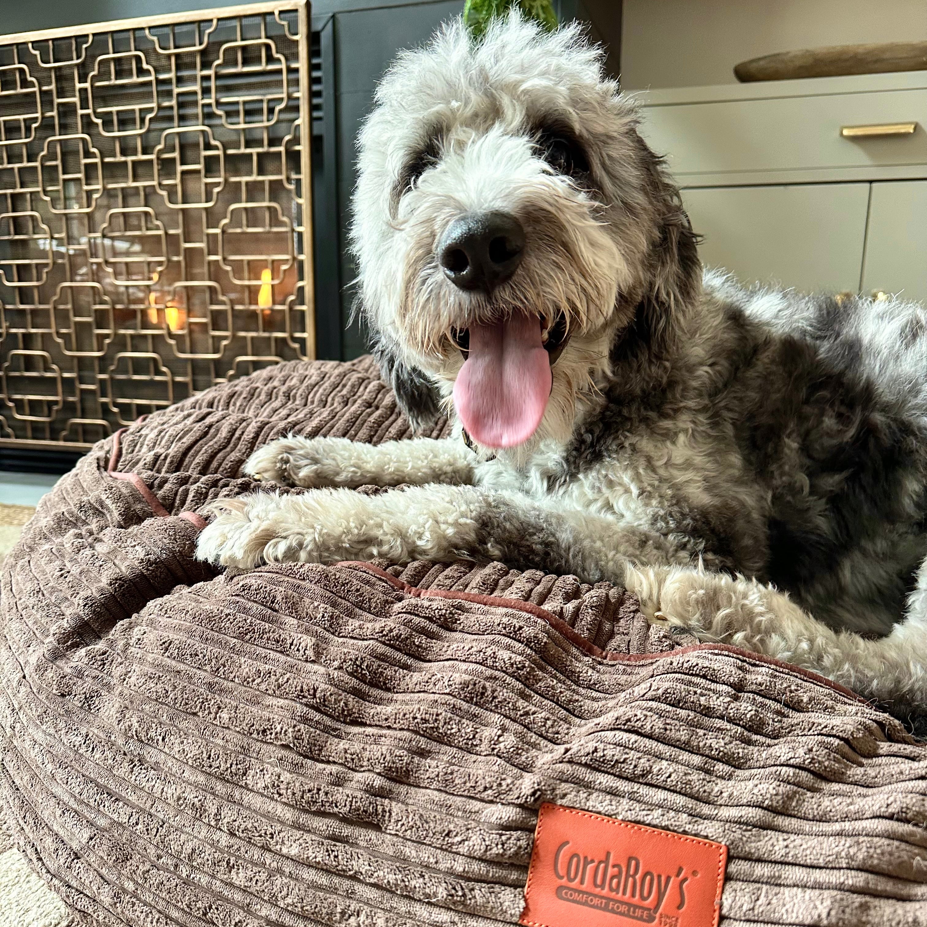 40 Inch Forever Dog Bed (Waterproof) - Terry Corduroy - Image 3