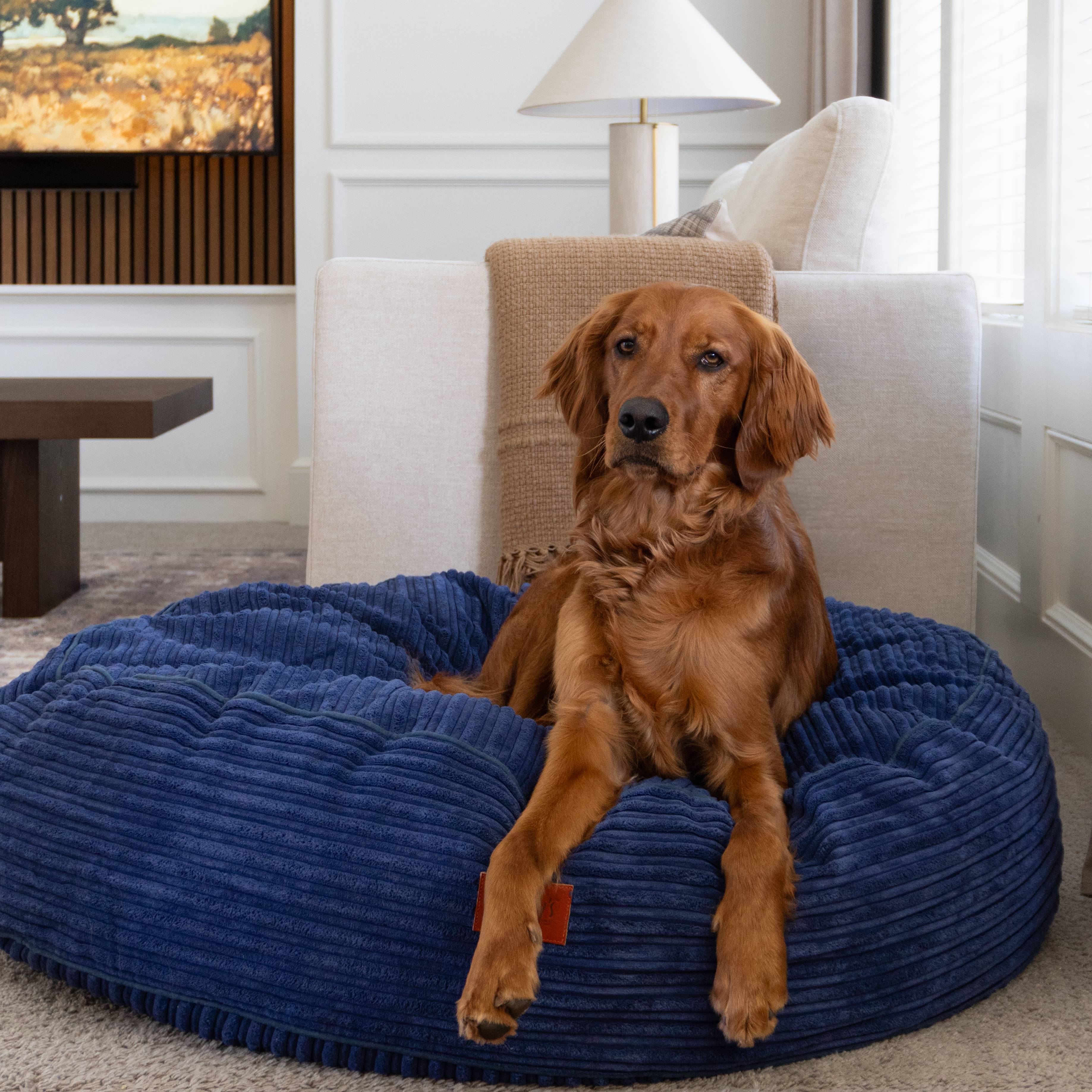 40 Inch Forever Dog Bed (Waterproof) - Terry Corduroy - Image 4