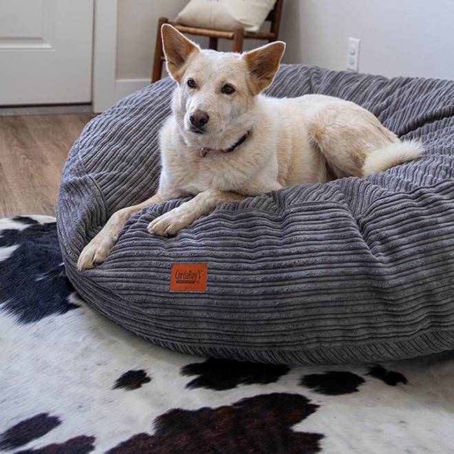 40 Inch Forever Dog Bed (Waterproof) - Terry Corduroy - Image 5