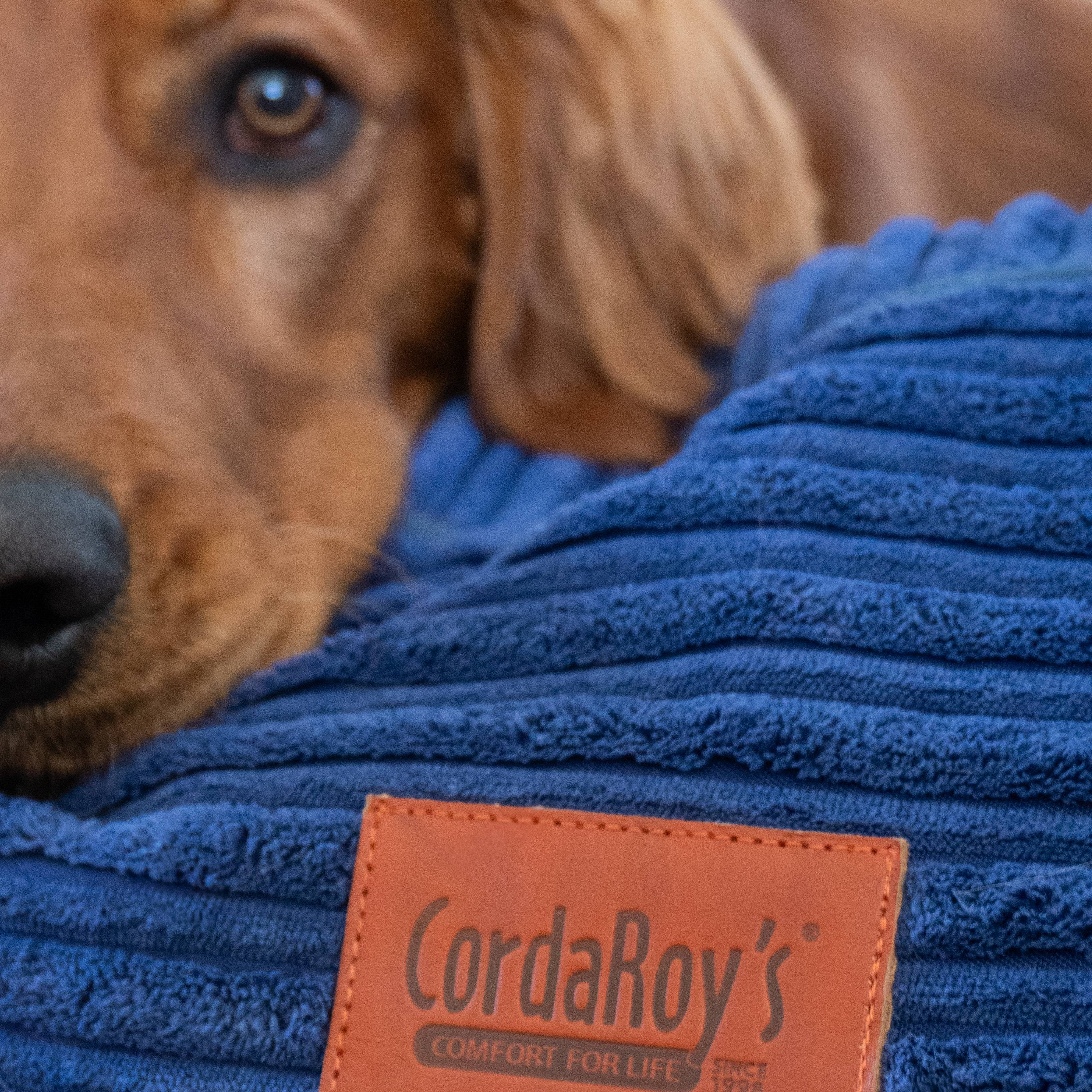 40 Inch Forever Dog Bed (Waterproof) - Terry Corduroy - Image 7