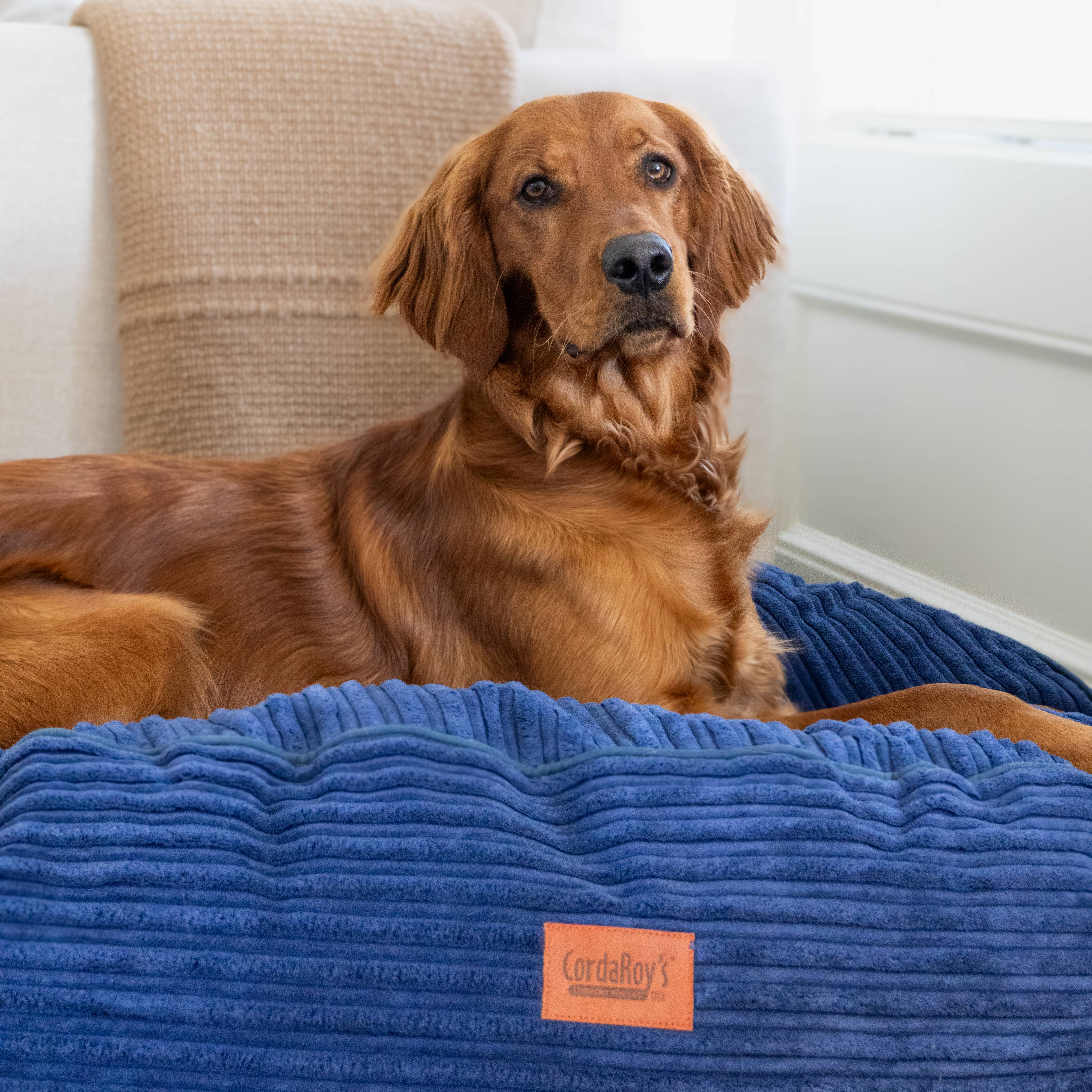40 Inch Forever Dog Bed (Waterproof) - Terry Corduroy - Image 9