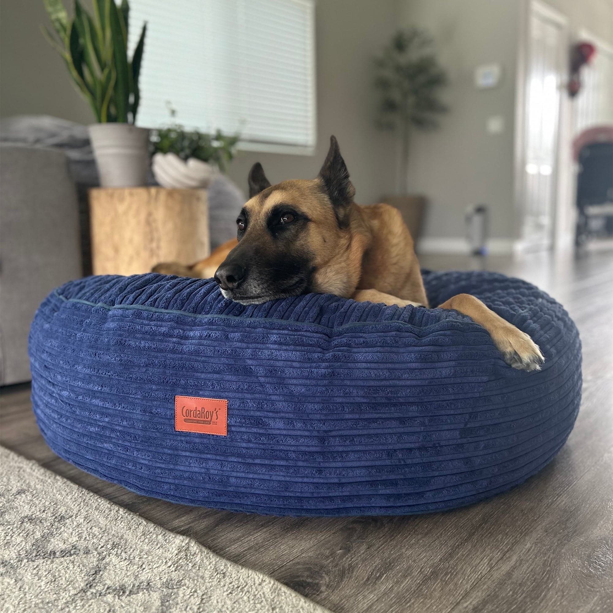 50 Inch Forever Dog Bed (Waterproof) - Terry Corduroy - Image 10