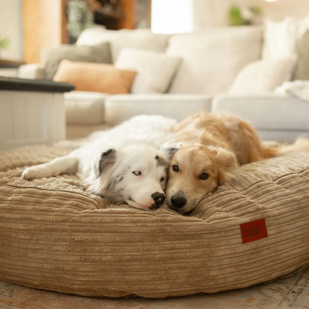50 Inch Forever Dog Bed (Waterproof) - Terry Corduroy - Image 15