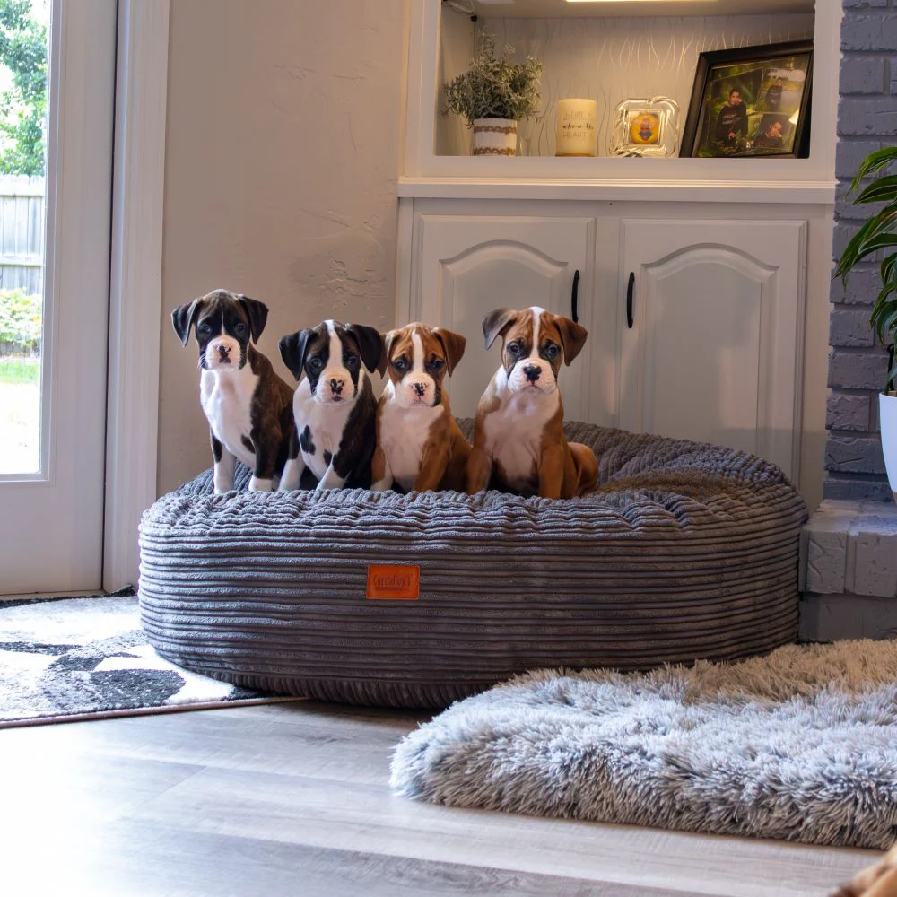 50 Inch Forever Dog Bed (Waterproof) - Terry Corduroy - Image 16