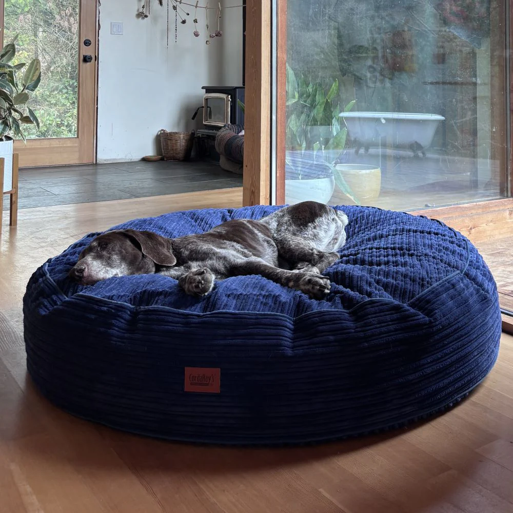 50 Inch Forever Dog Bed (Waterproof) - Terry Corduroy - Image 17