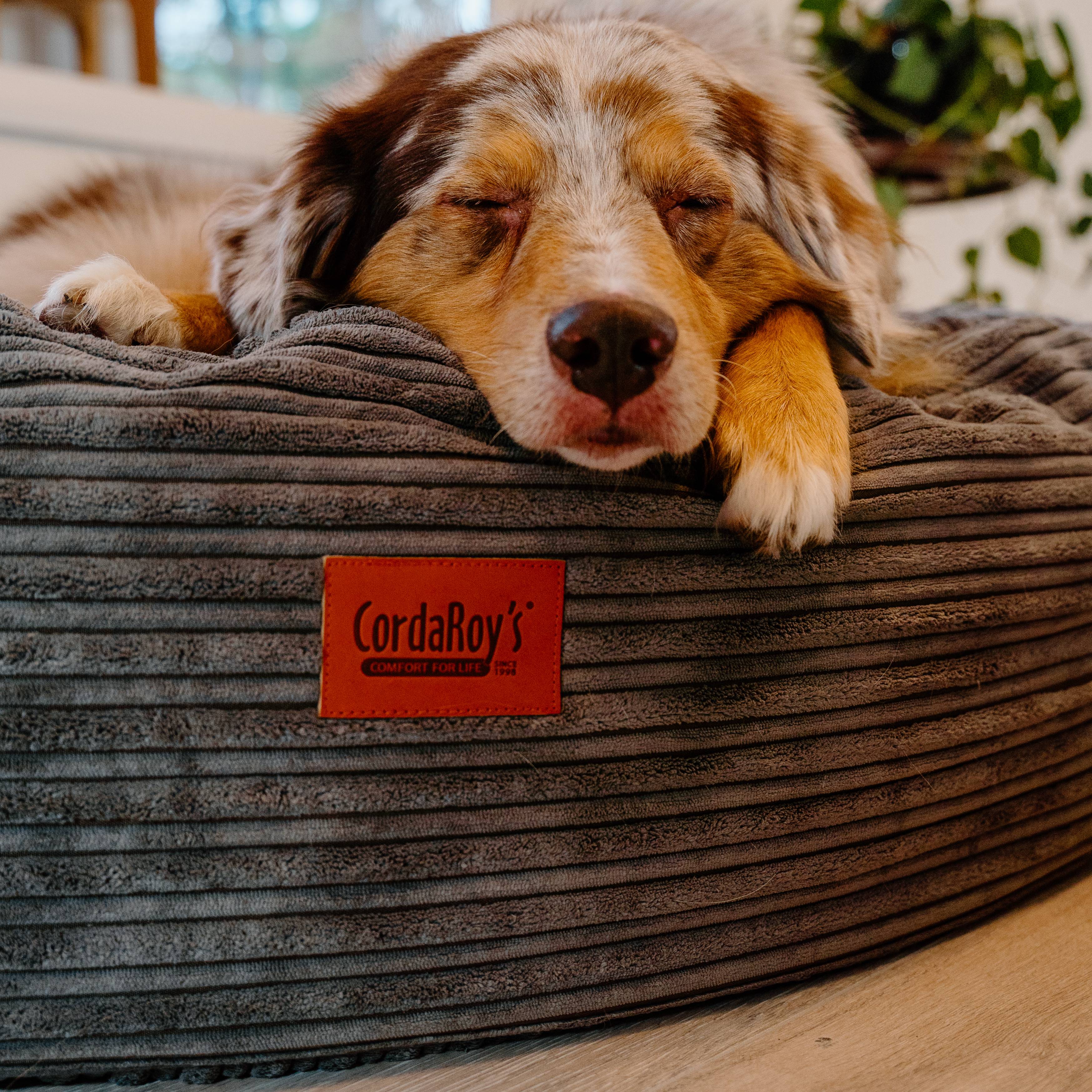 50 Inch Forever Dog Bed (Waterproof) - Terry Corduroy - Image 5