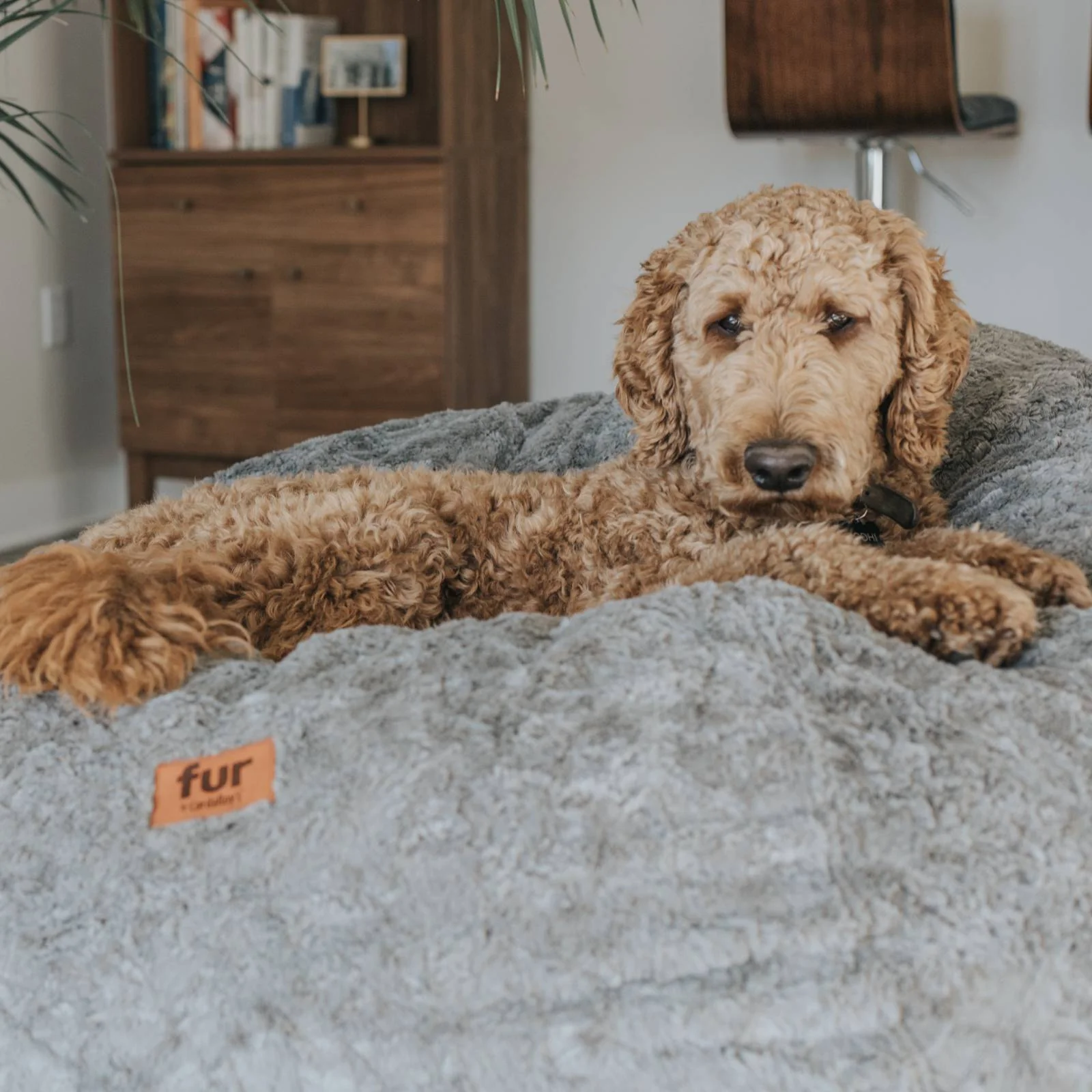 Bean Bag - Full - Faux Fur - Image 6