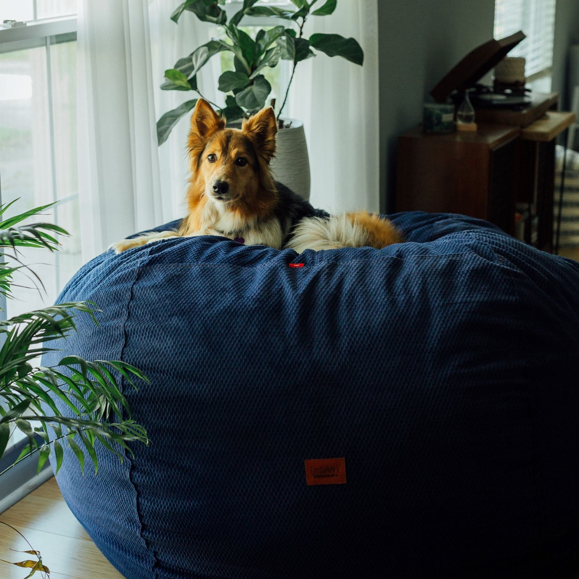 Bean Bag - King - Chenille - Image 3