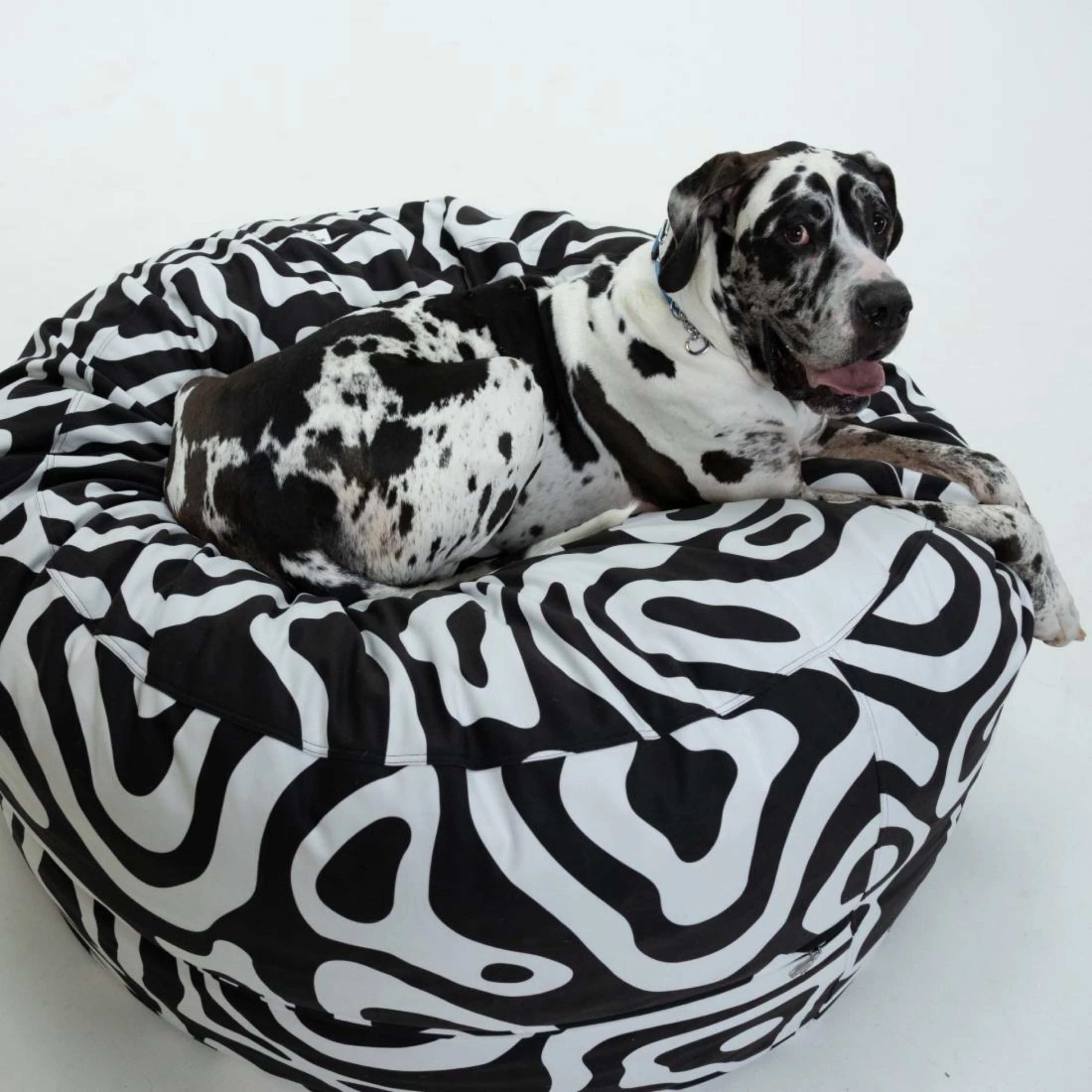 The Nines Bean Bag by cordaroys - Image 10
