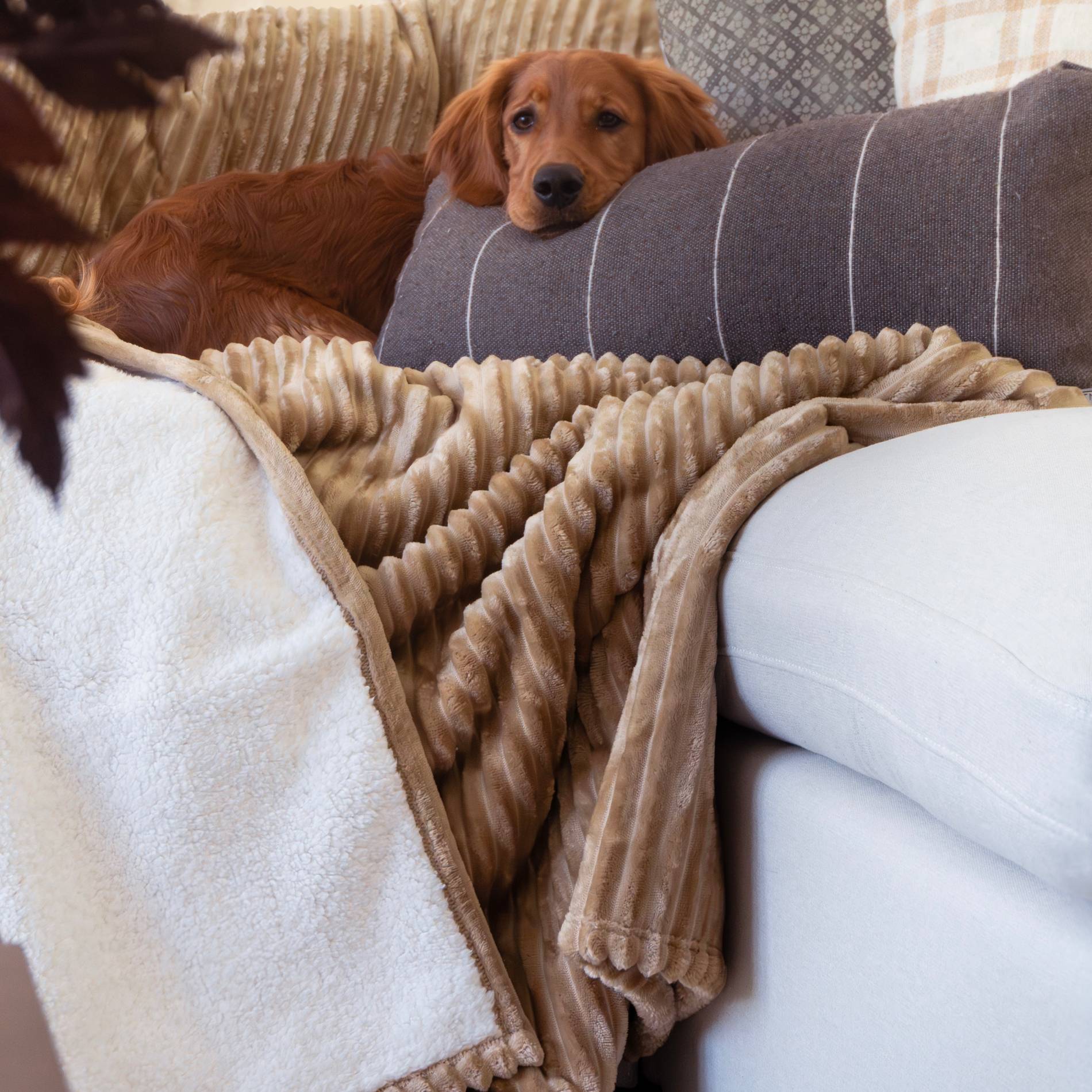 XXL Plush Corduroy Blanket - Image 4